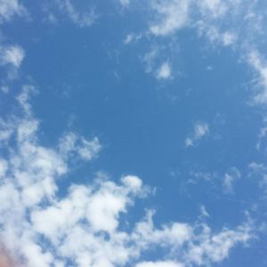 Meet your Posher, Jessie